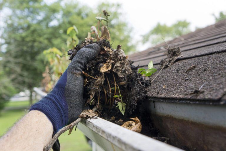 gutter cleaning